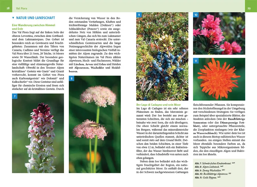 Beispielinhalt (Bild) Naturwanderungen im Tessin