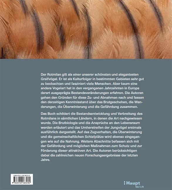 Rückseitencover Der Rotmilan
