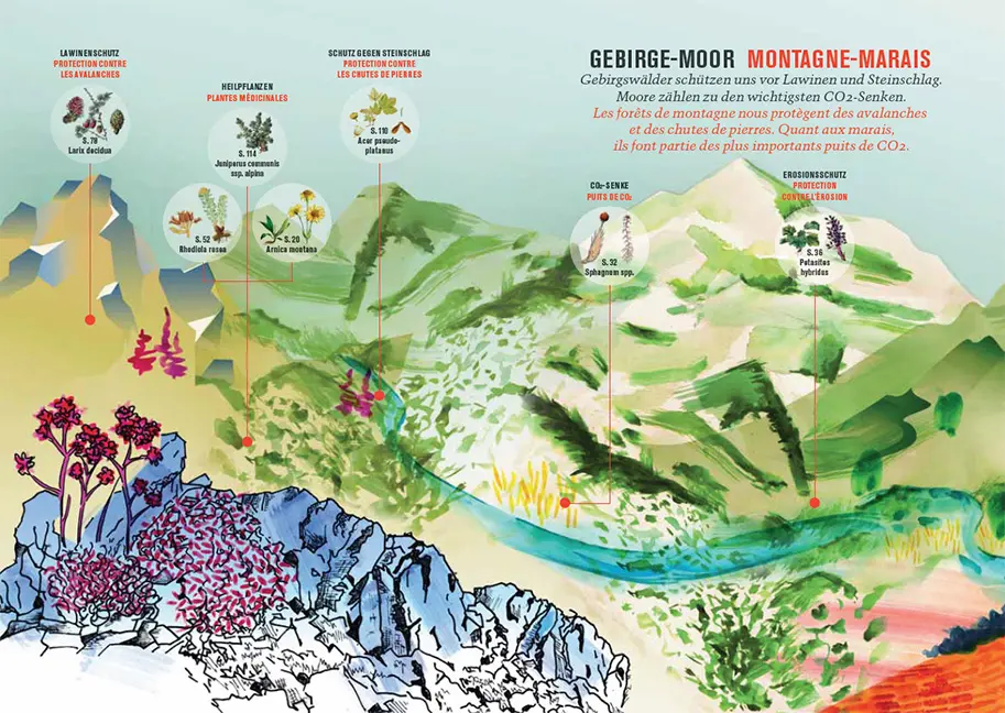 Beispielinhalt (Bild) Botanica 2023