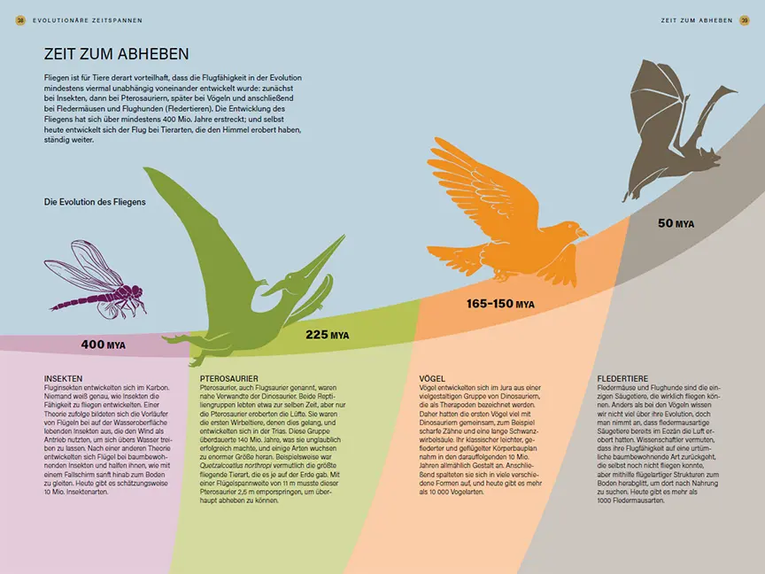 Beispielinhalt (Bild) Im Takt der Natur