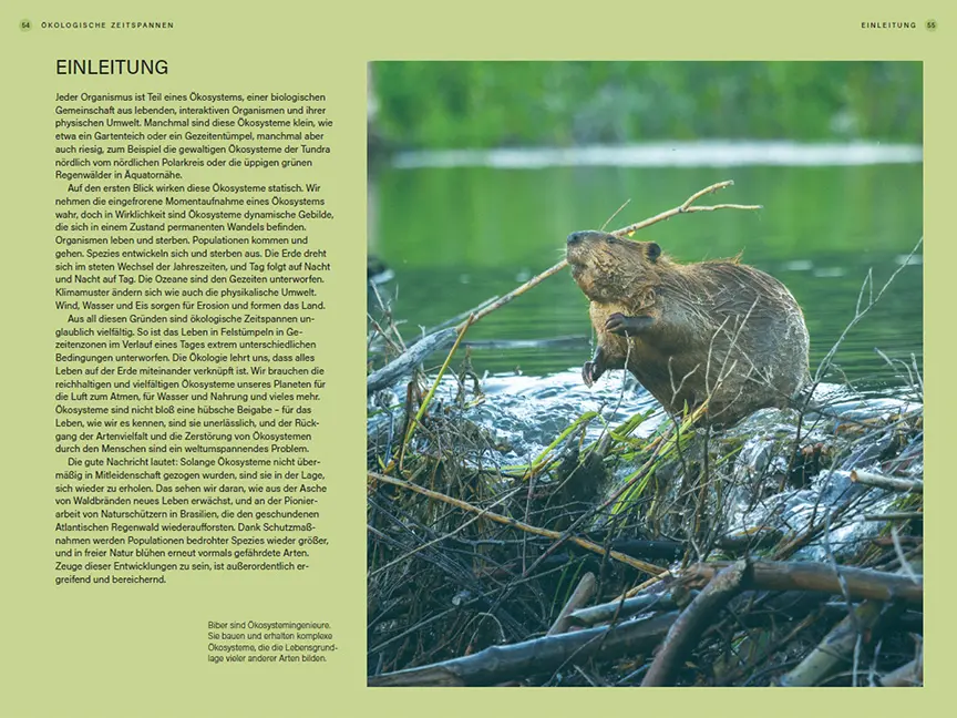 Beispielinhalt (Bild) Im Takt der Natur