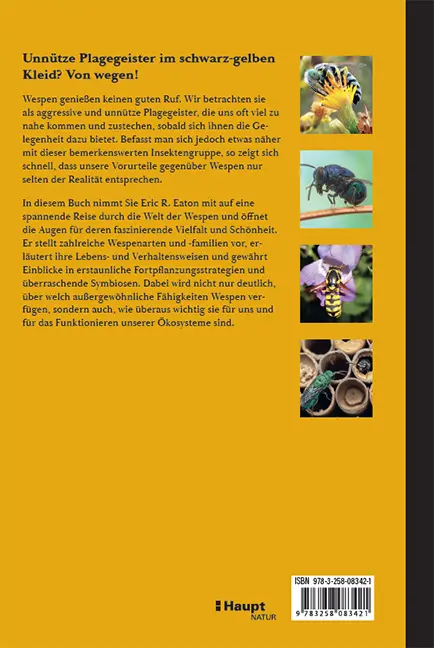 Rückseitencover Wespen