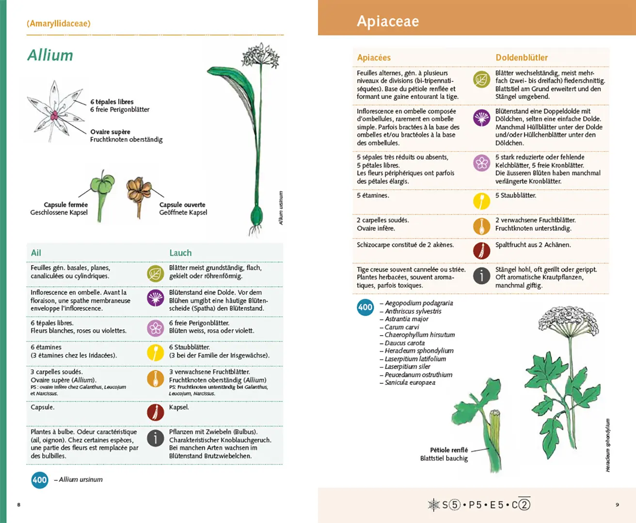 Beispielinhalt (Bild) Carnet 400