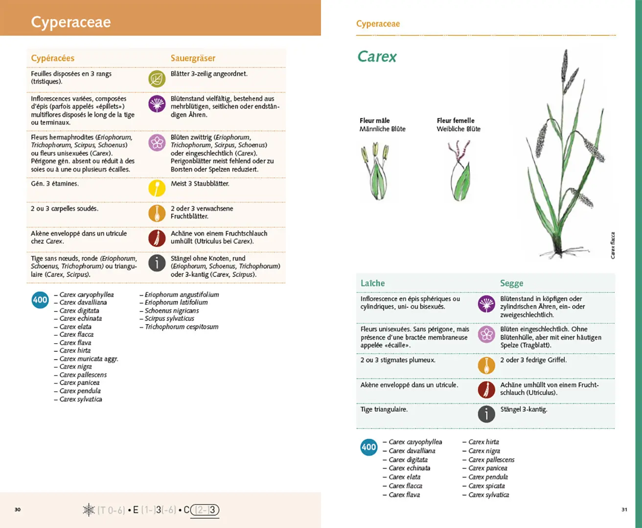 Beispielinhalt (Bild) Carnet 400