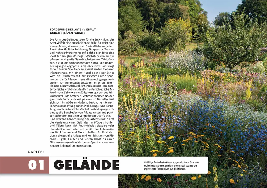 Beispielinhalt (Bild) So geht Naturgarten