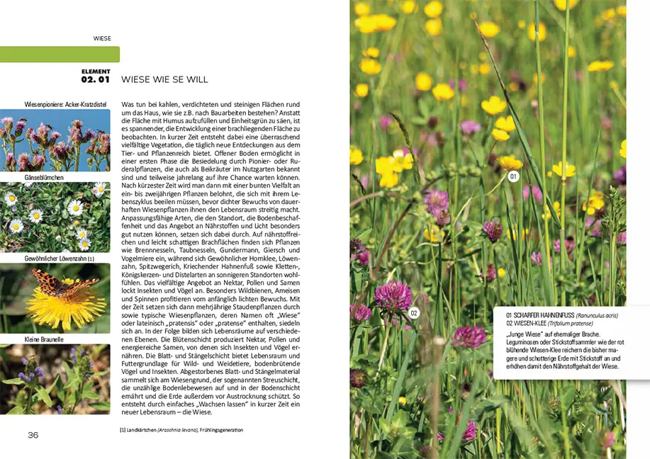 Beispielinhalt (Bild) So geht Naturgarten