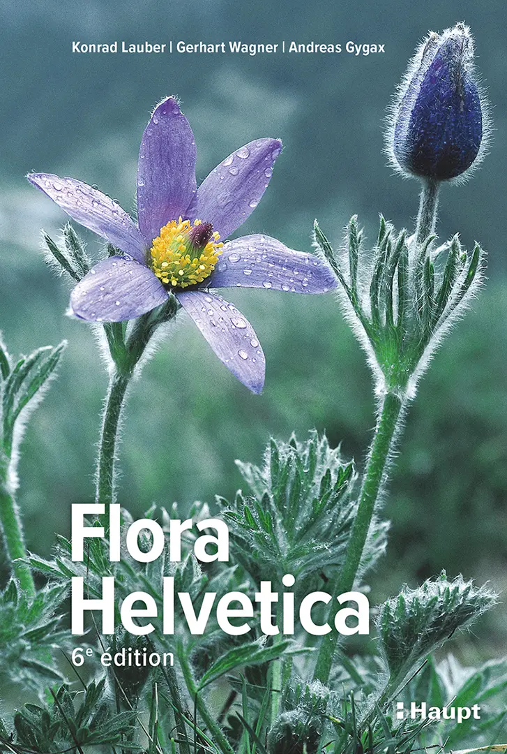 Vorderes Coverbild Flora Helvetica - Flore illustrée de Suisse