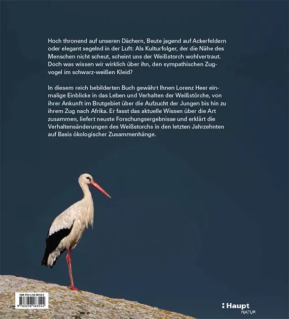 Rückseitencover Der Weißstorch