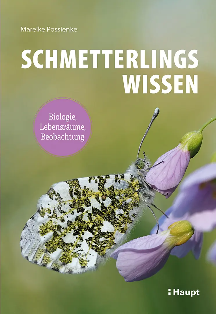 Vorderes Coverbild Schmetterlingswissen