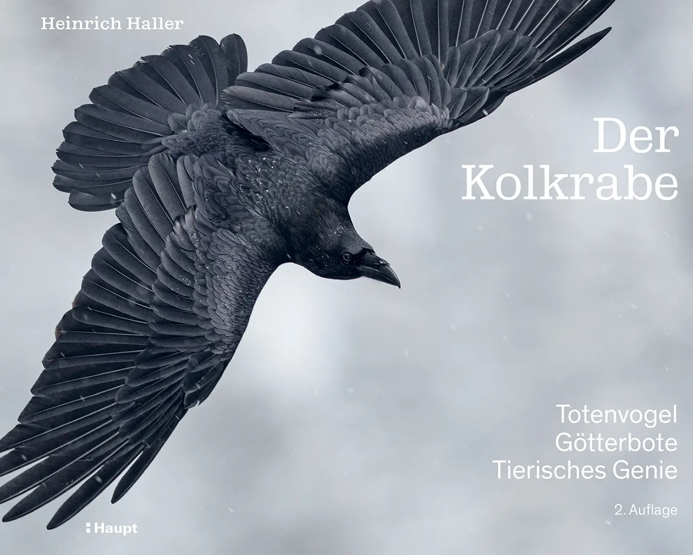 Vorderes Coverbild Der Kolkrabe – Totenvogel, Götterbote, tierisches Genie