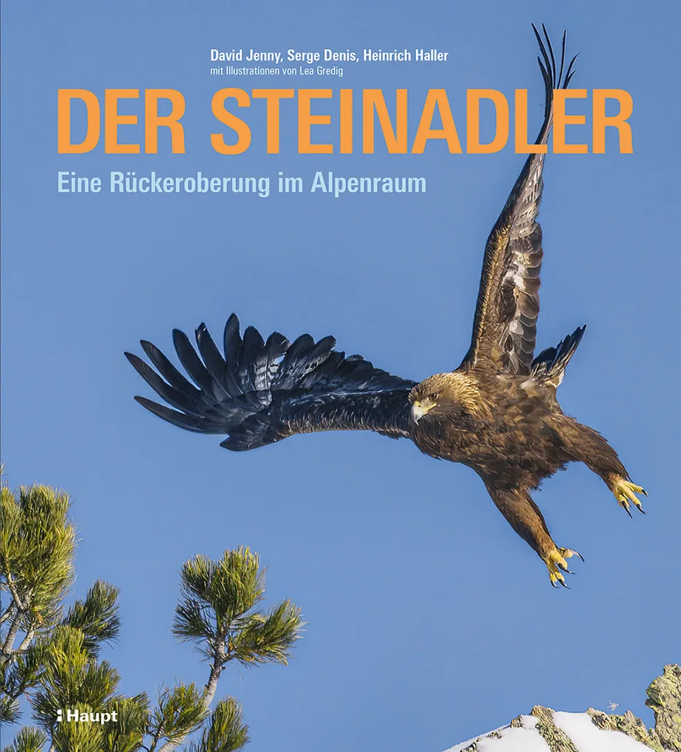 Vorderes Coverbild Der Steinadler