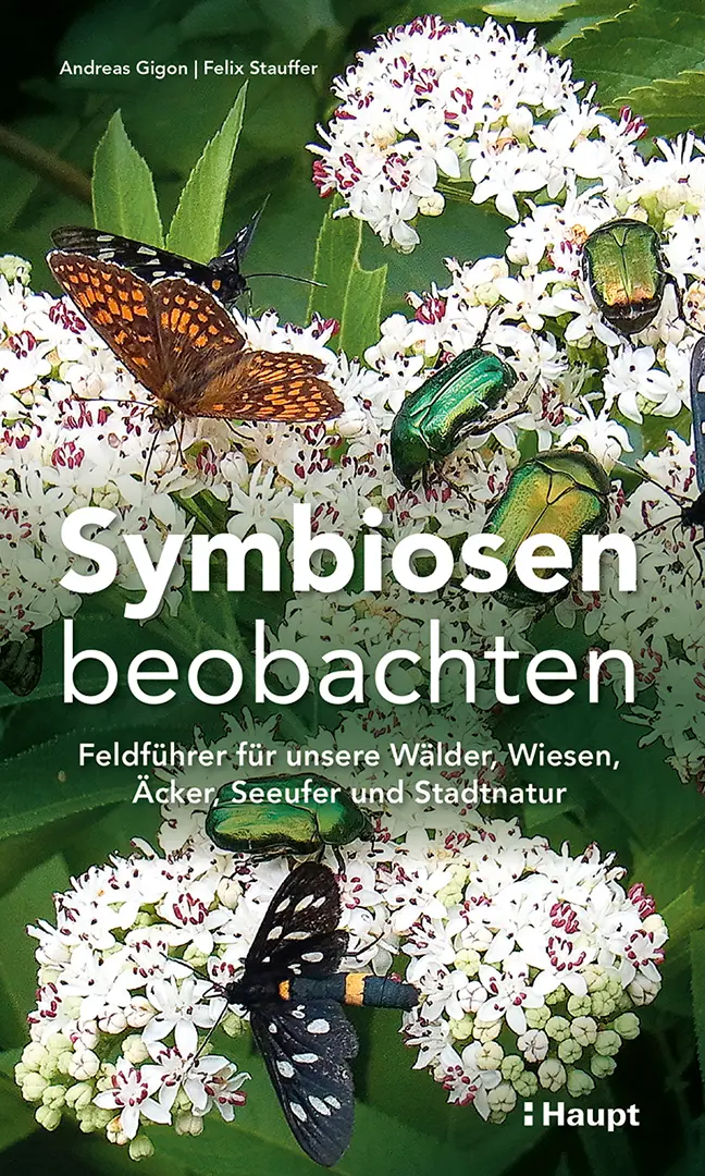 Vorderes Coverbild Symbiosen beobachten
