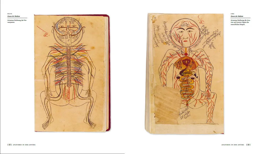 Beispielinhalt (Bild) Die Geschichte der Anatomie