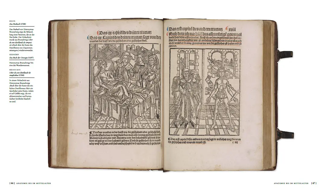 Beispielinhalt (Bild) Die Geschichte der Anatomie