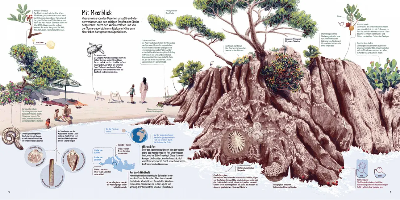 Beispielinhalt (Bild) Mittelmeer