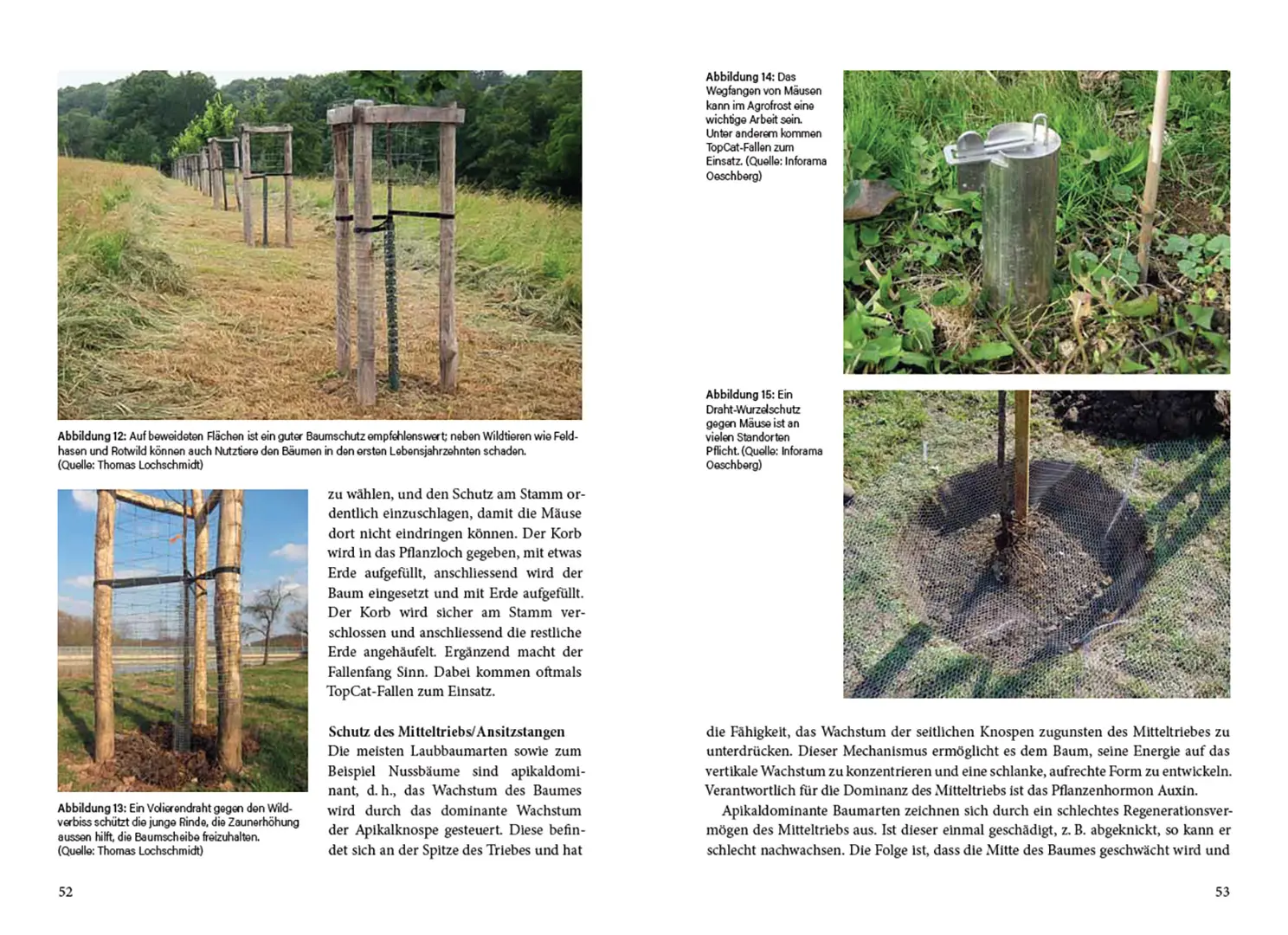 Beispielinhalt (Bild) Agroforstpraxis in der Schweiz