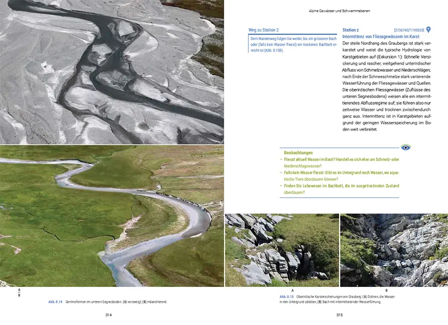 Beispielinhalt (Bild) Biodiversität zwischen Wasser und Land