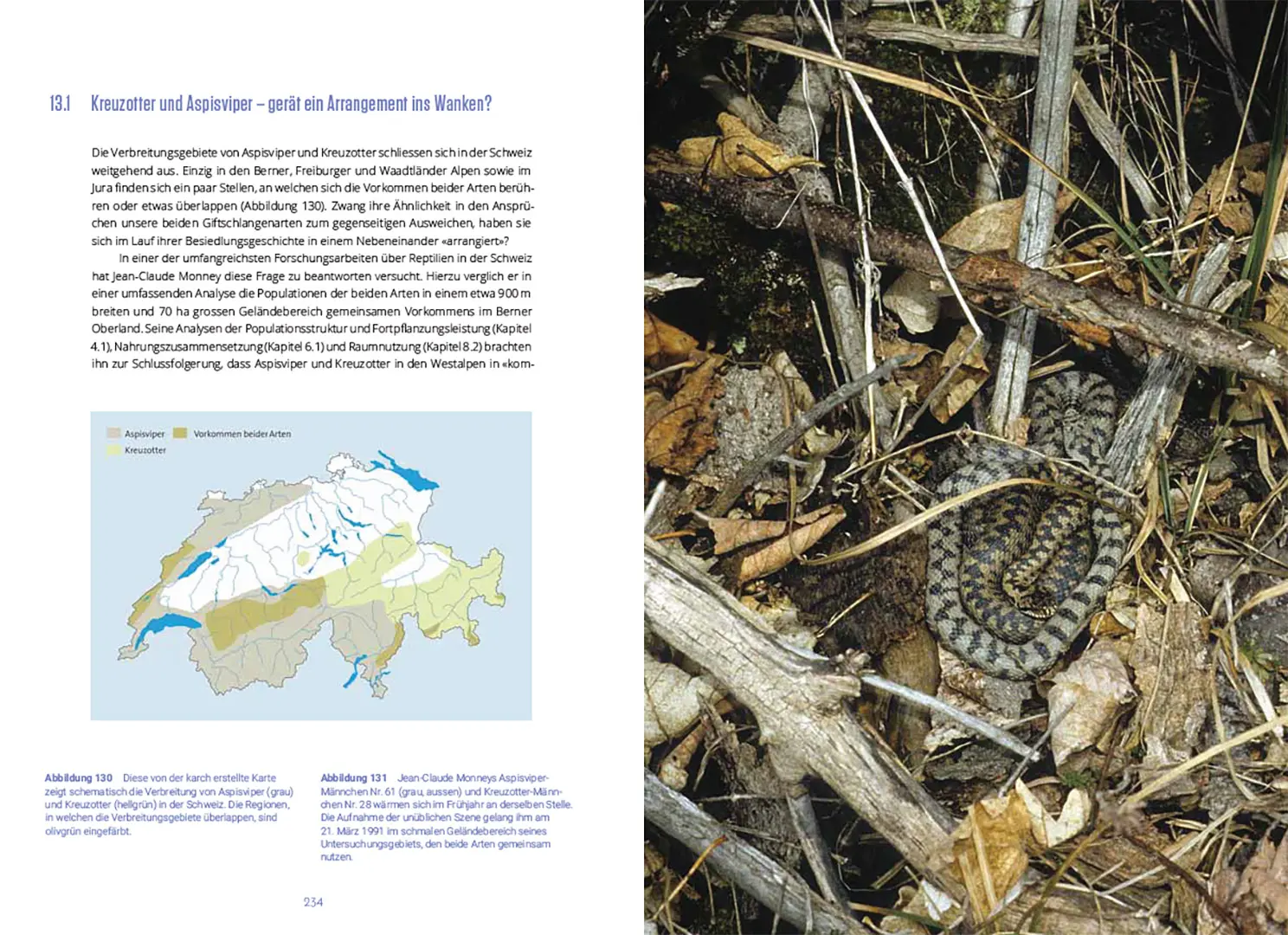 Beispielinhalt (Bild) Reptilien in der Schweiz