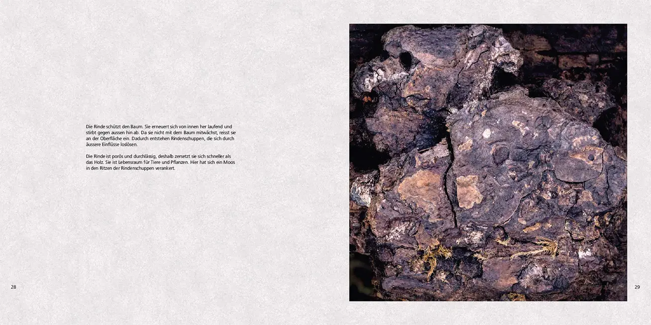 Beispielinhalt (Bild) Poesie des Vergehens