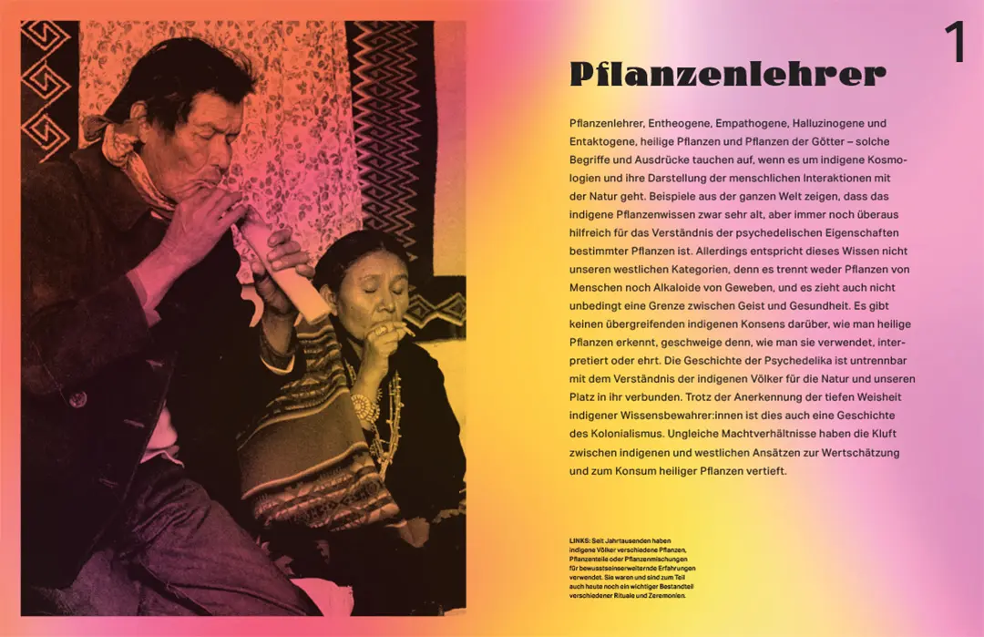 Beispielinhalt (Bild) Rausch – Eine Kulturgeschichte der Psychedelika