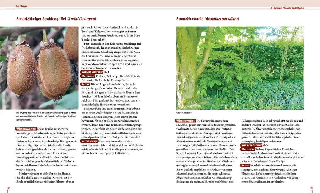 Beispielinhalt (Bild) Praxisbuch Waldgarten