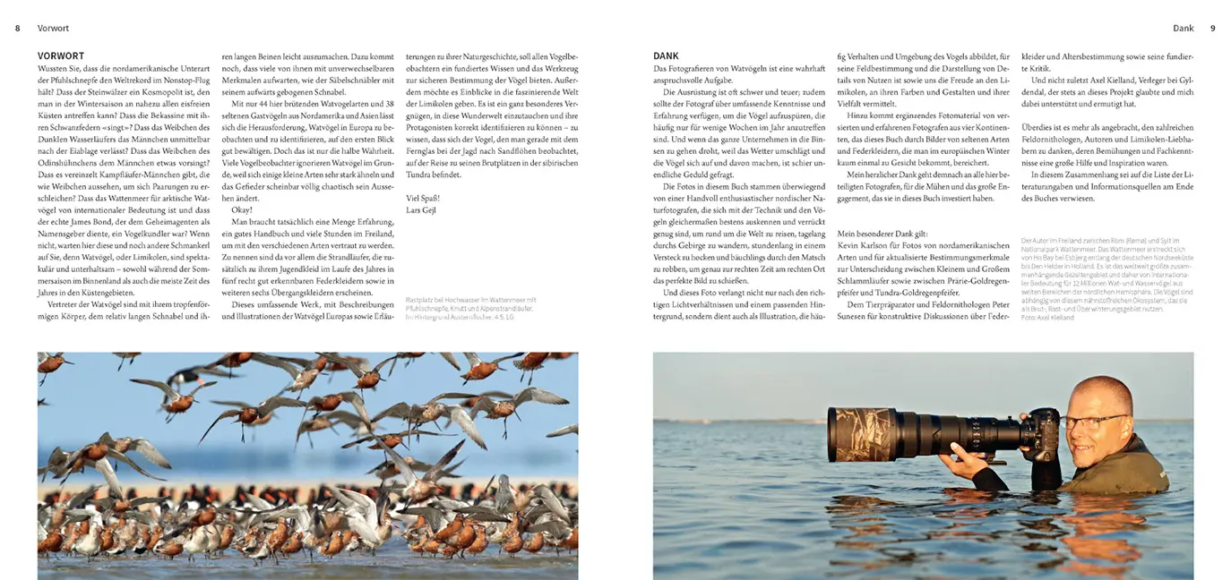 Beispielinhalt (Bild) Die Watvögel Europas