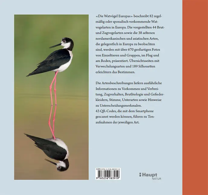 Rückseitencover Die Watvögel Europas