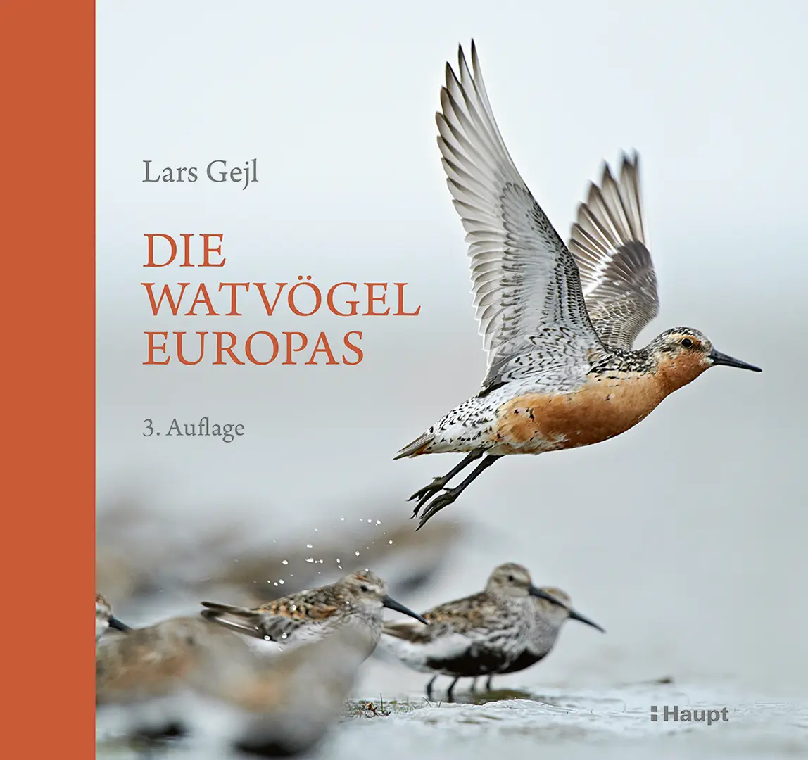 Vorderes Coverbild Die Watvögel Europas