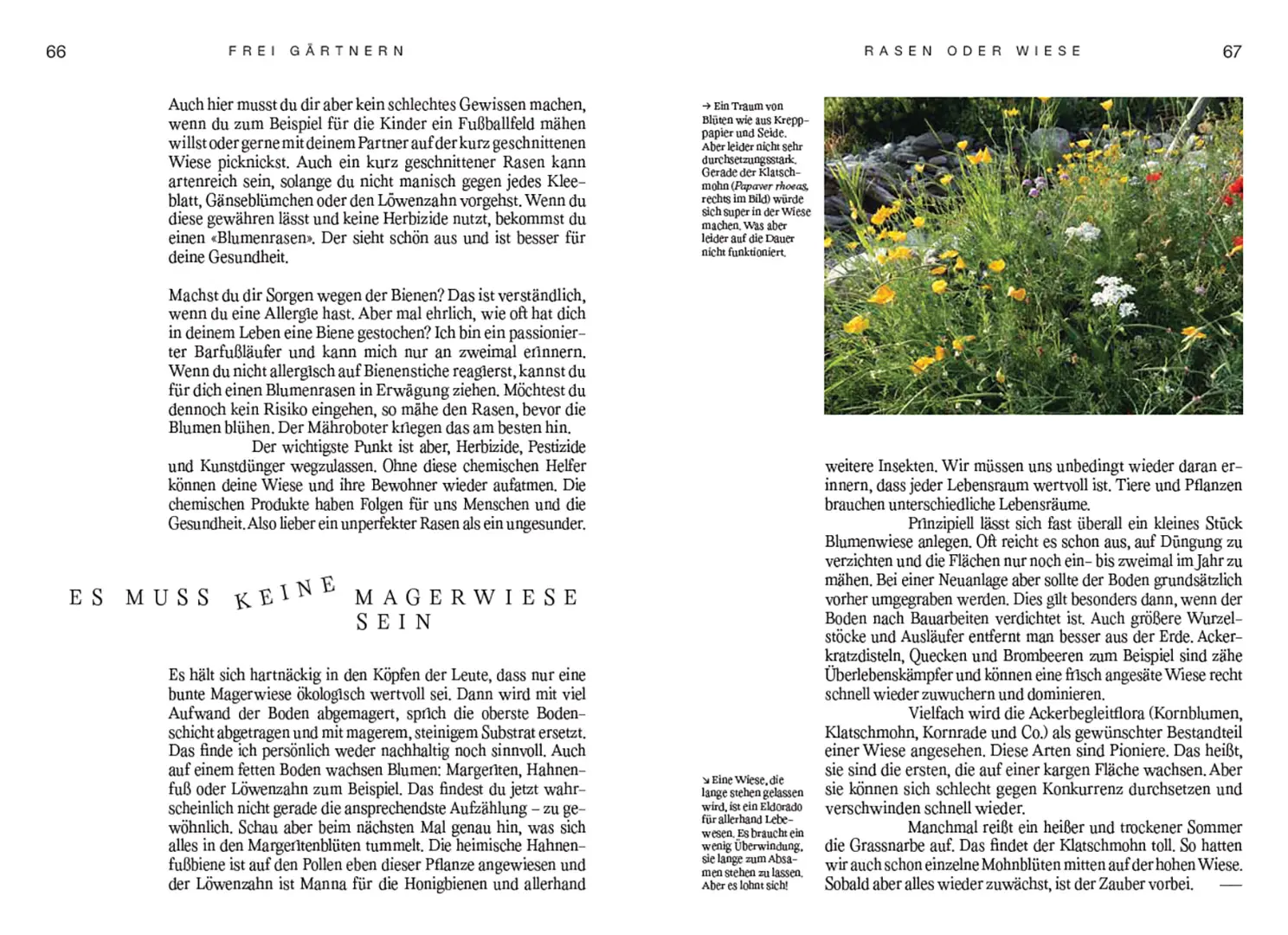 Beispielinhalt (Bild) Frei gärtnern
