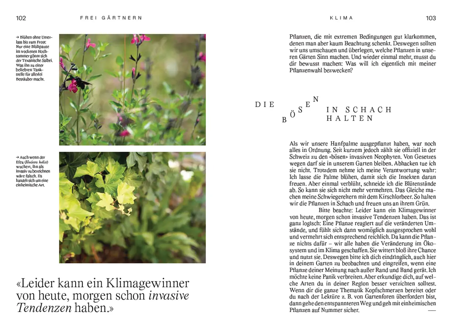 Beispielinhalt (Bild) Frei gärtnern