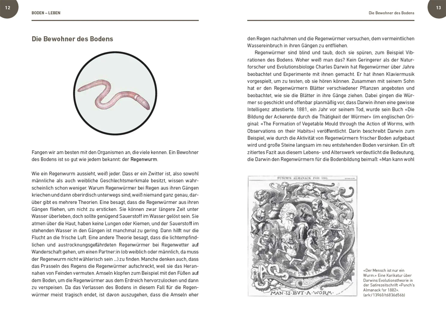 Beispielinhalt (Bild) Der Boden lebt