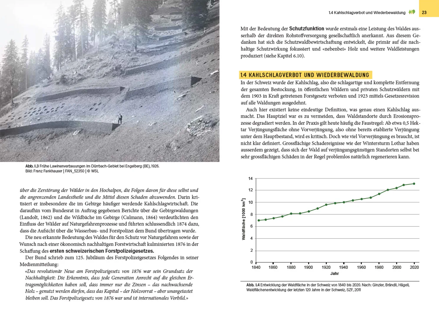 Beispielinhalt (Bild) Waldbewirtschaftung in der Schweiz