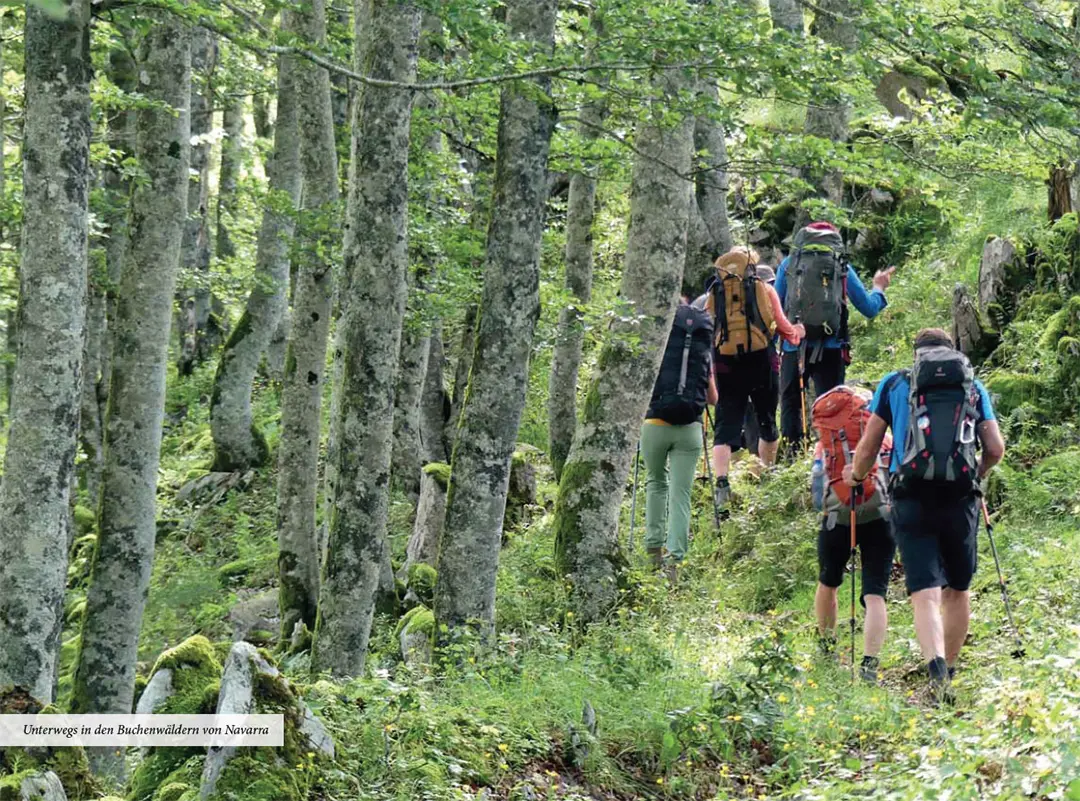 Beispielinhalt (Bild) Pyrenäenwanderer