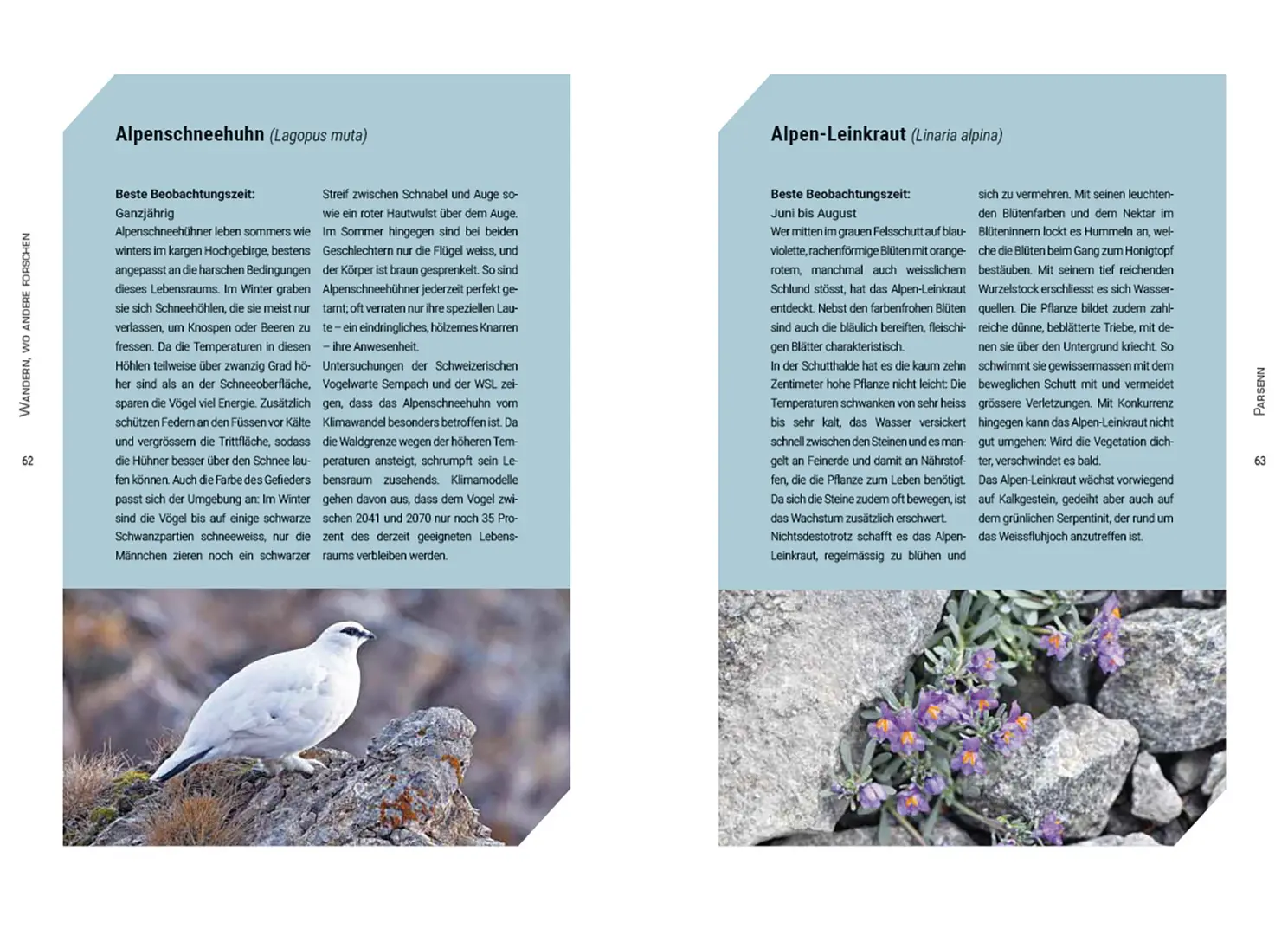 Beispielinhalt (Bild) Wandern, wo andere forschen