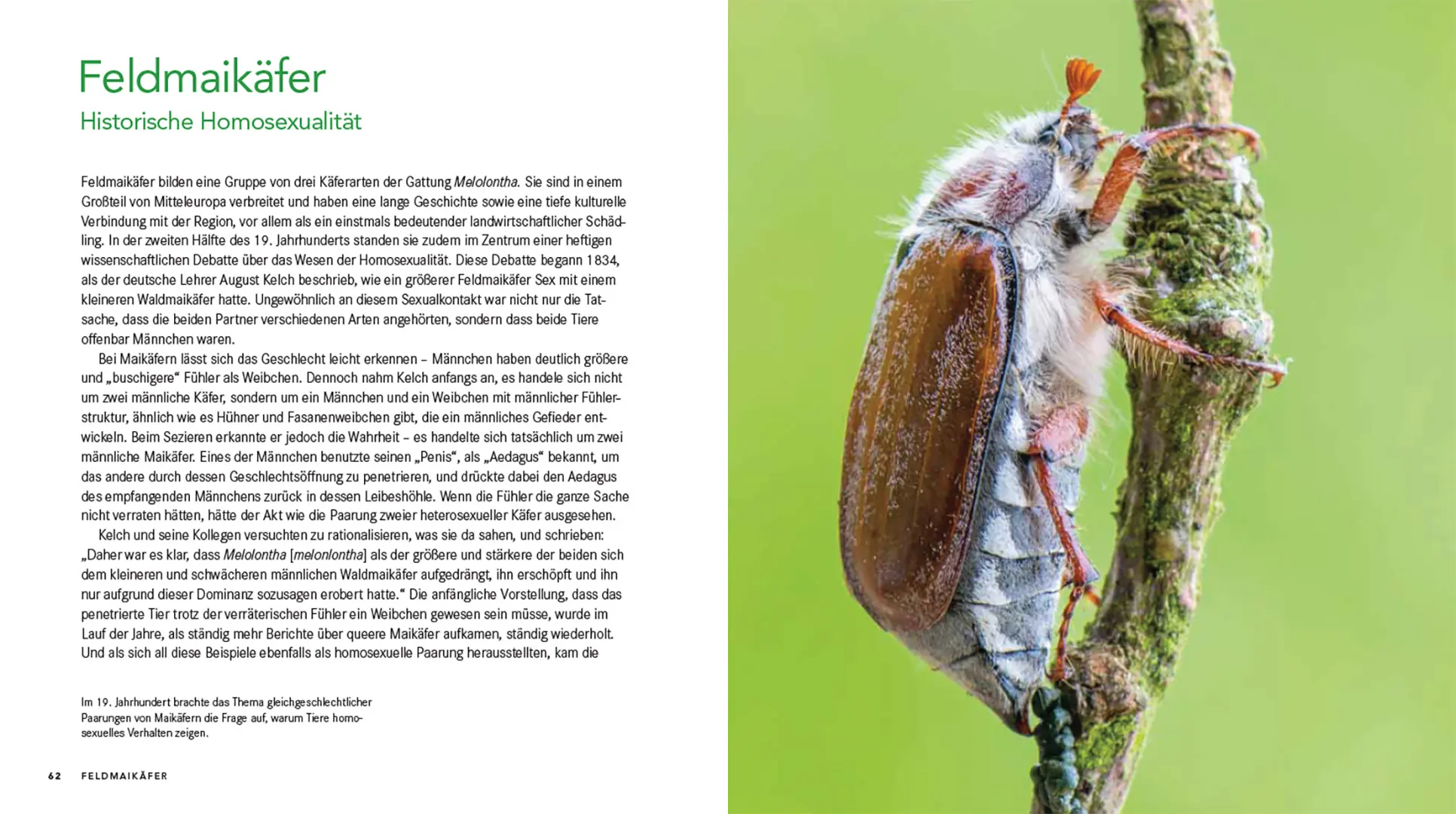 Beispielinhalt (Bild) Queer