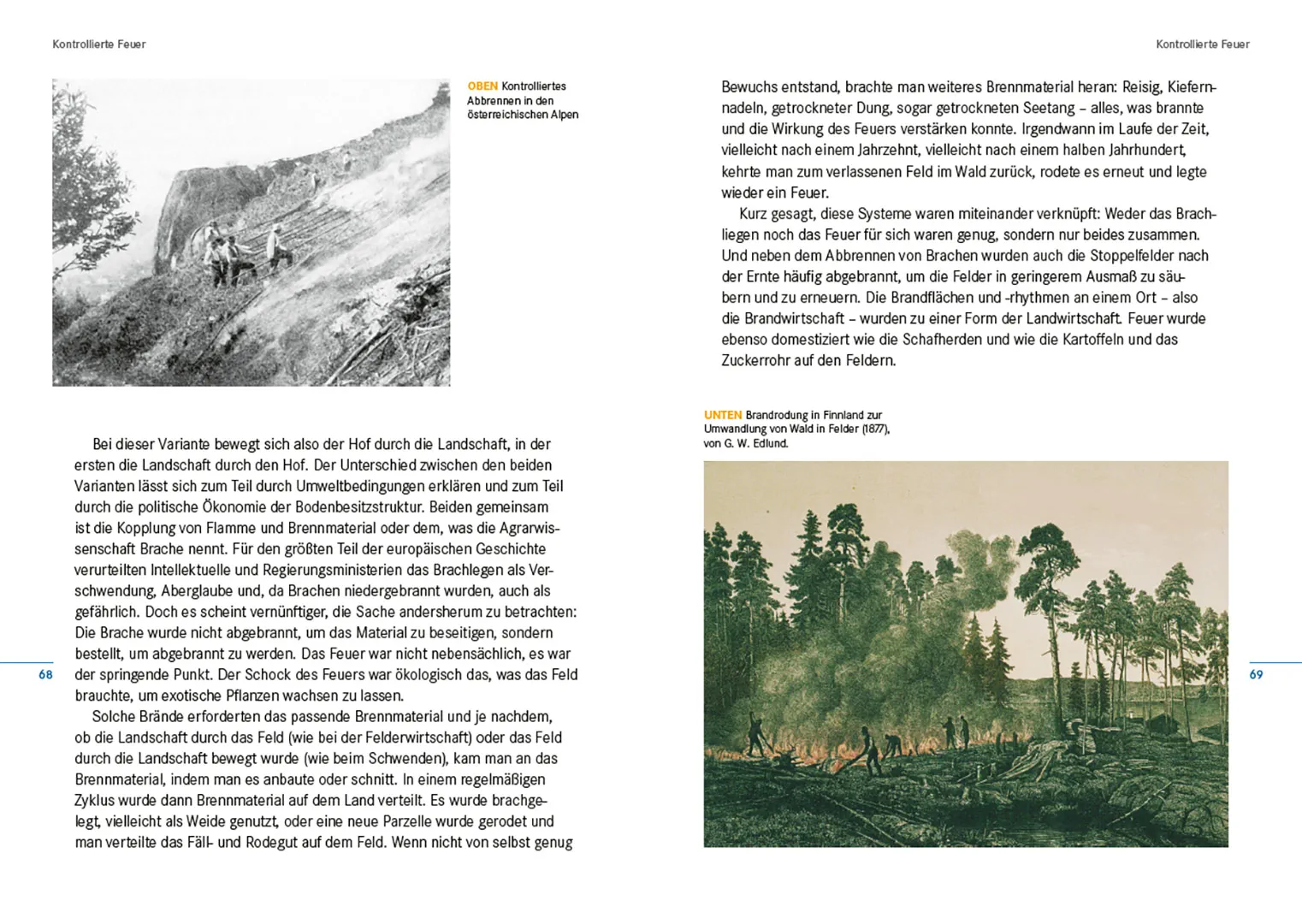 Beispielinhalt (Bild) Feuer