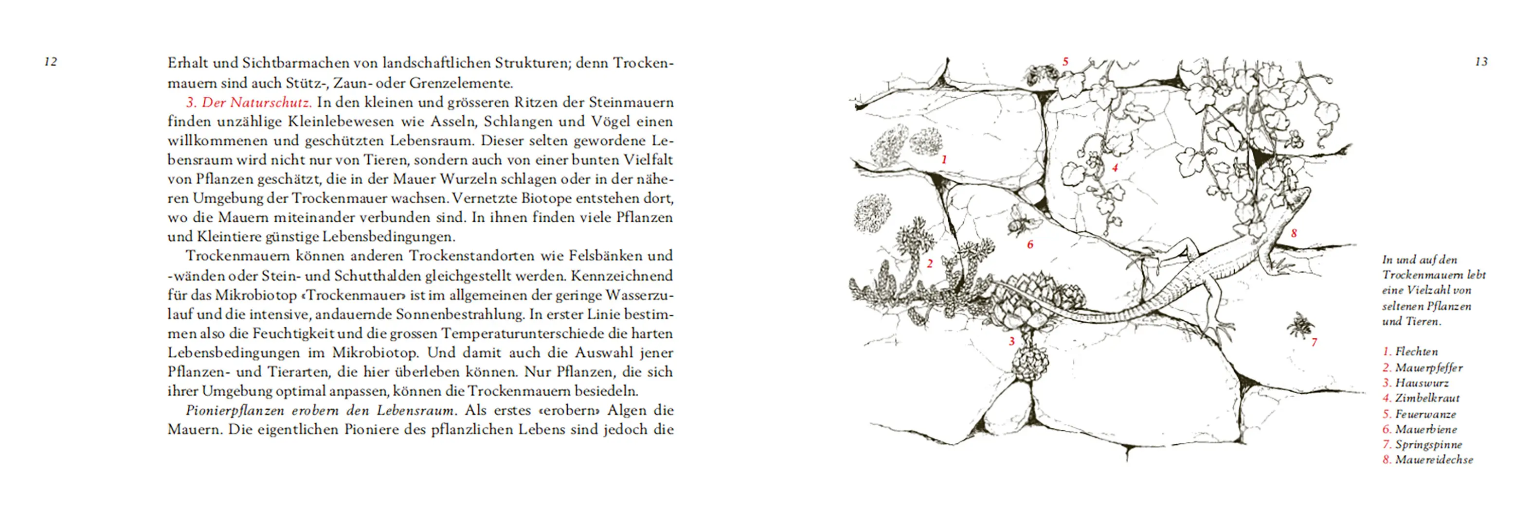 Beispielinhalt (Bild) Trockenmauern