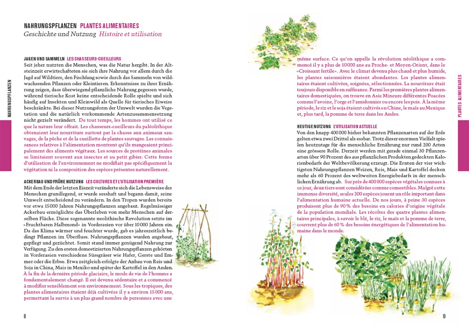 Beispielinhalt (Bild) Botanica 2025