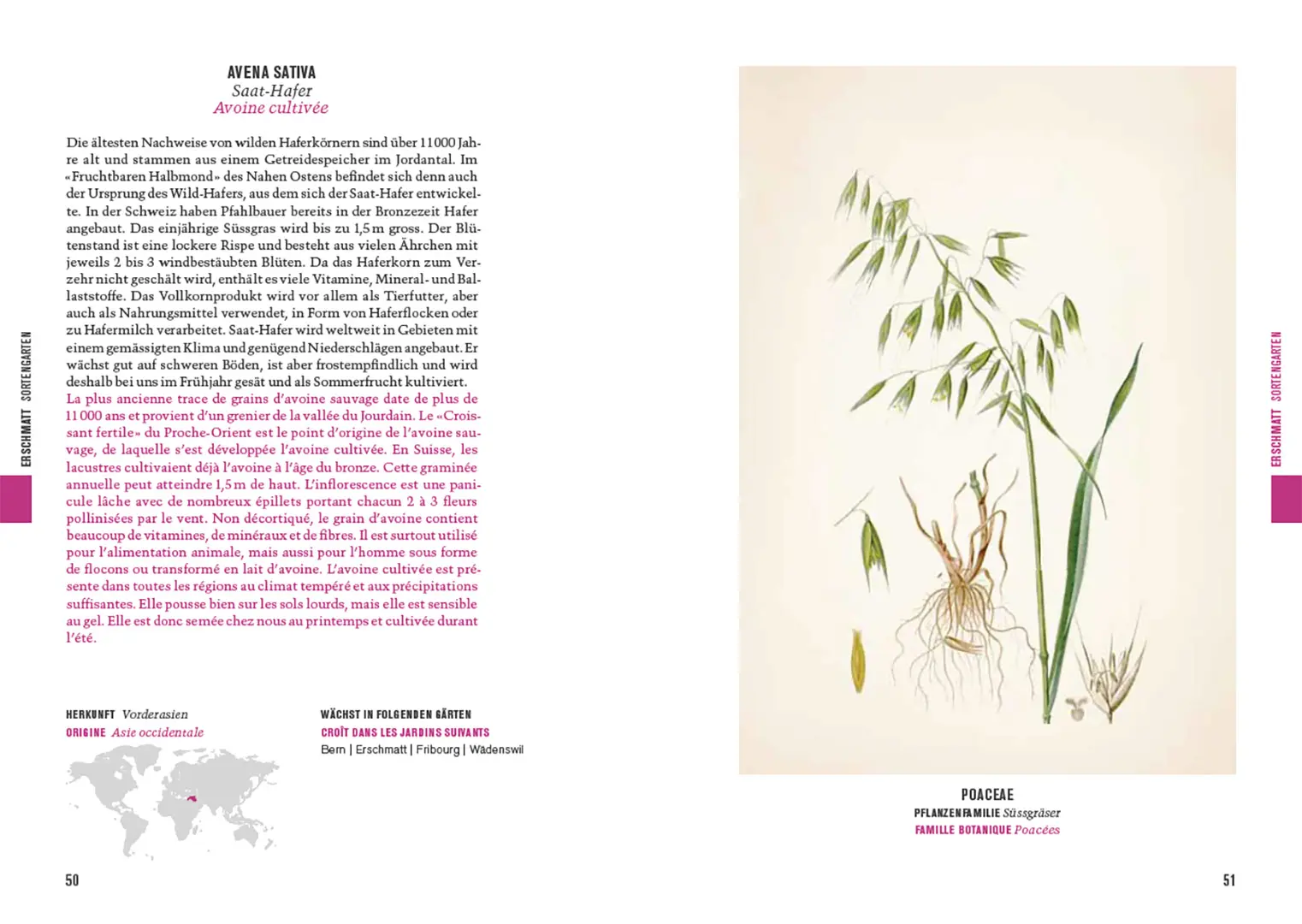 Beispielinhalt (Bild) Botanica 2025