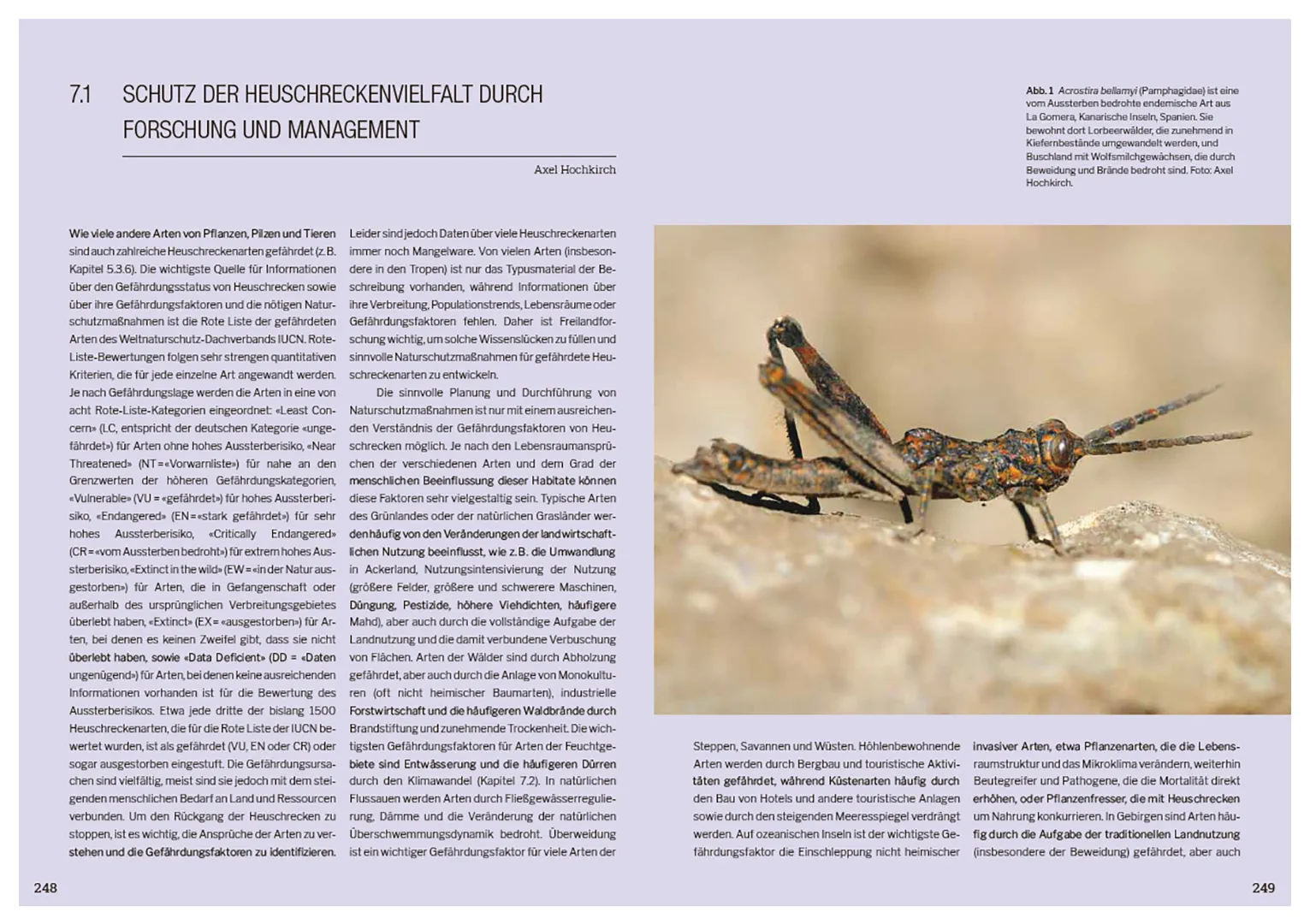 Beispielinhalt (Bild) Die Welt der Heuschrecken