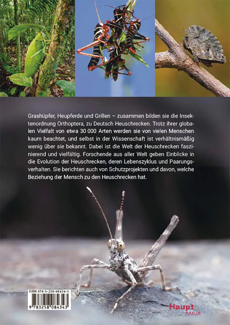 Rückseitencover Die Welt der Heuschrecken