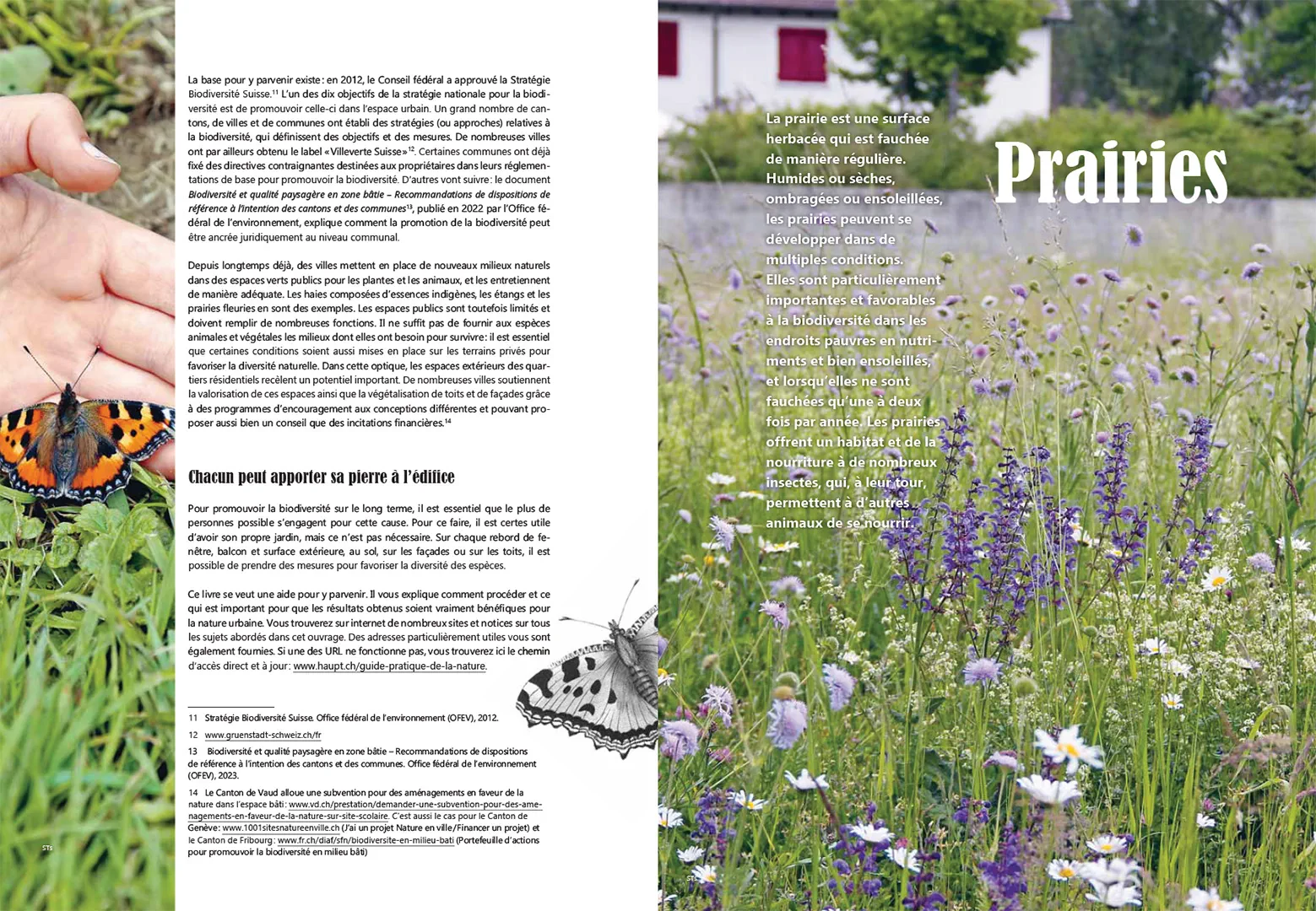 Beispielinhalt (Bild) Guide pratique de la nature en ville