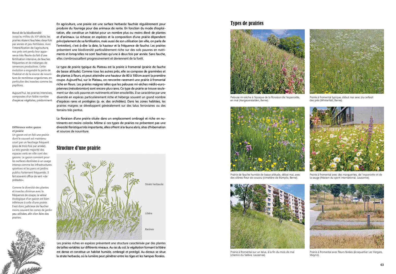 Beispielinhalt (Bild) Guide pratique de la nature en ville