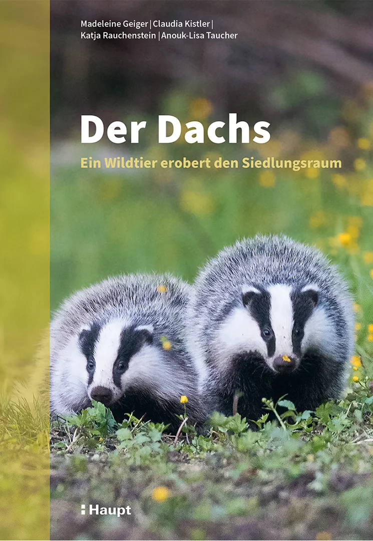 Vorderes Coverbild Der Dachs