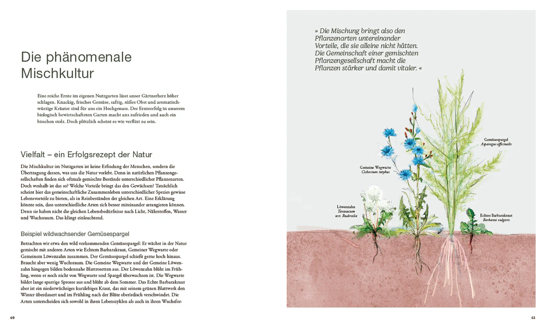 Beispielinhalt (Bild) Von Pflanzen, die sich mögen und Tieren, die uns helfen