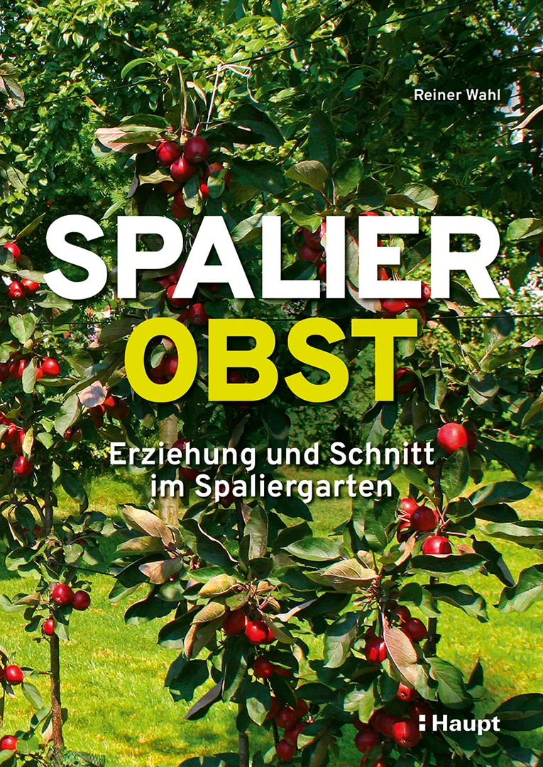 Vorderes Coverbild Spalierobst