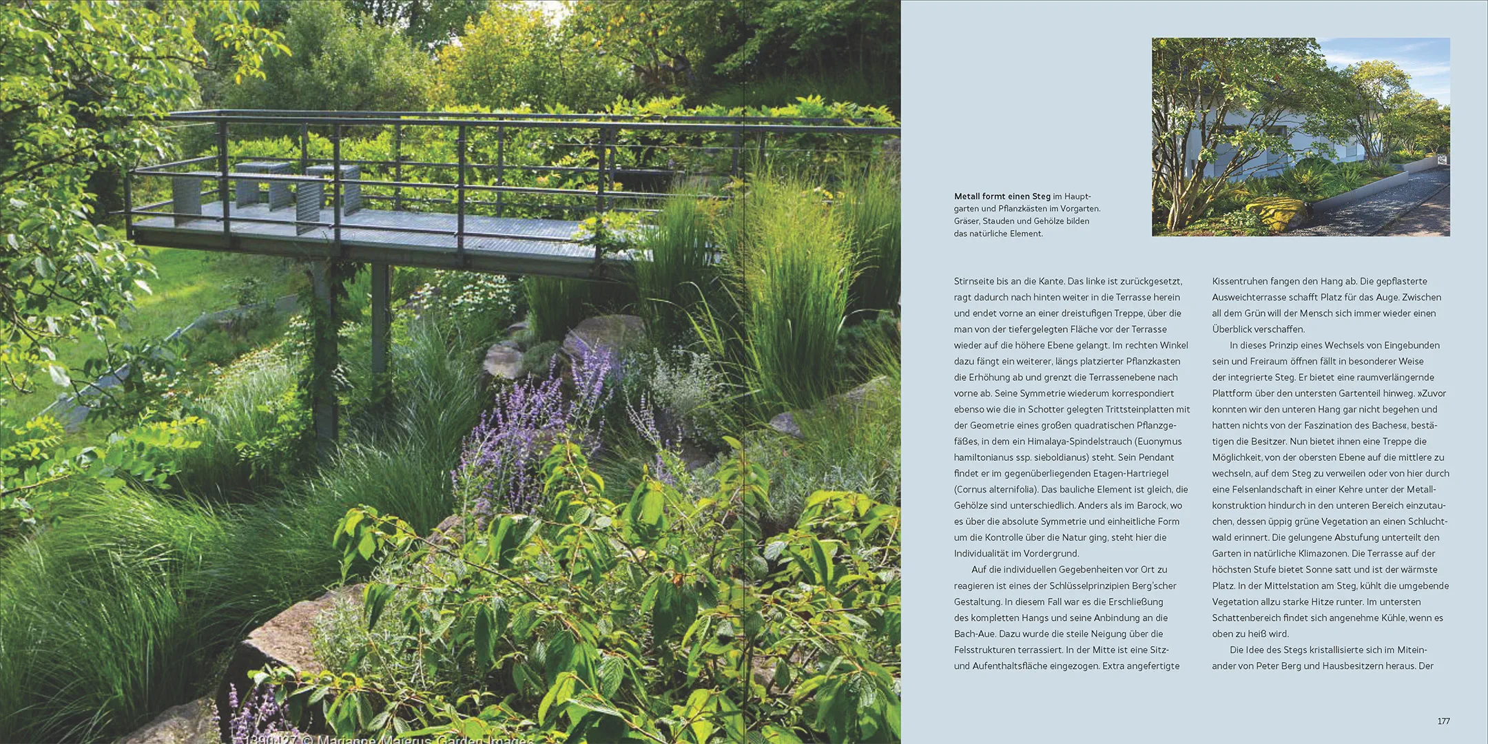 Beispielinhalt (Bild) Natur, Ästhetik, Design