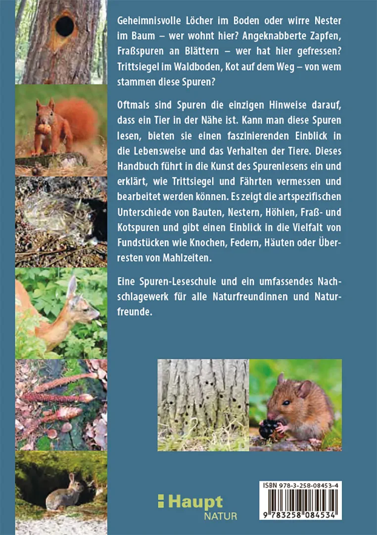 Rückseitencover Fährten lesen und Spuren suchen