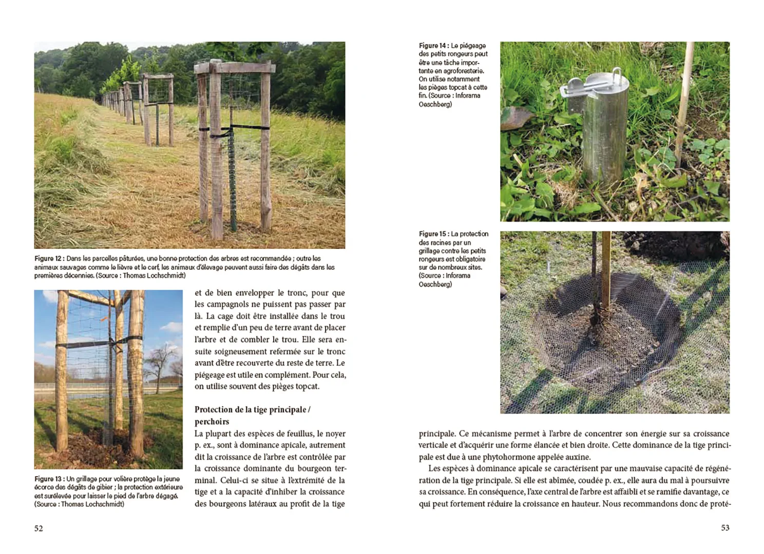 Beispielinhalt (Bild) La pratique agroforestière en Suisse