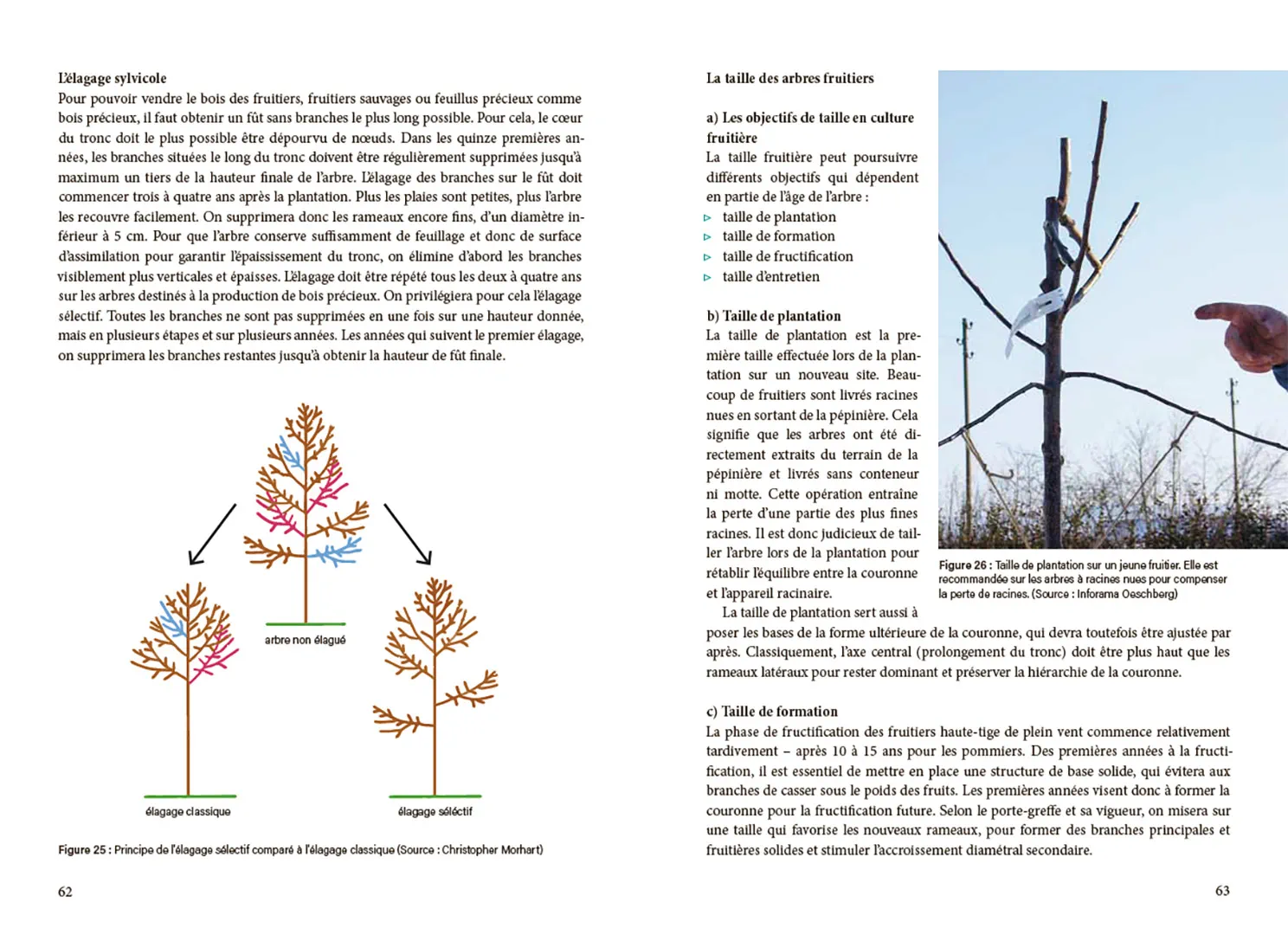 Beispielinhalt (Bild) La pratique agroforestière en Suisse